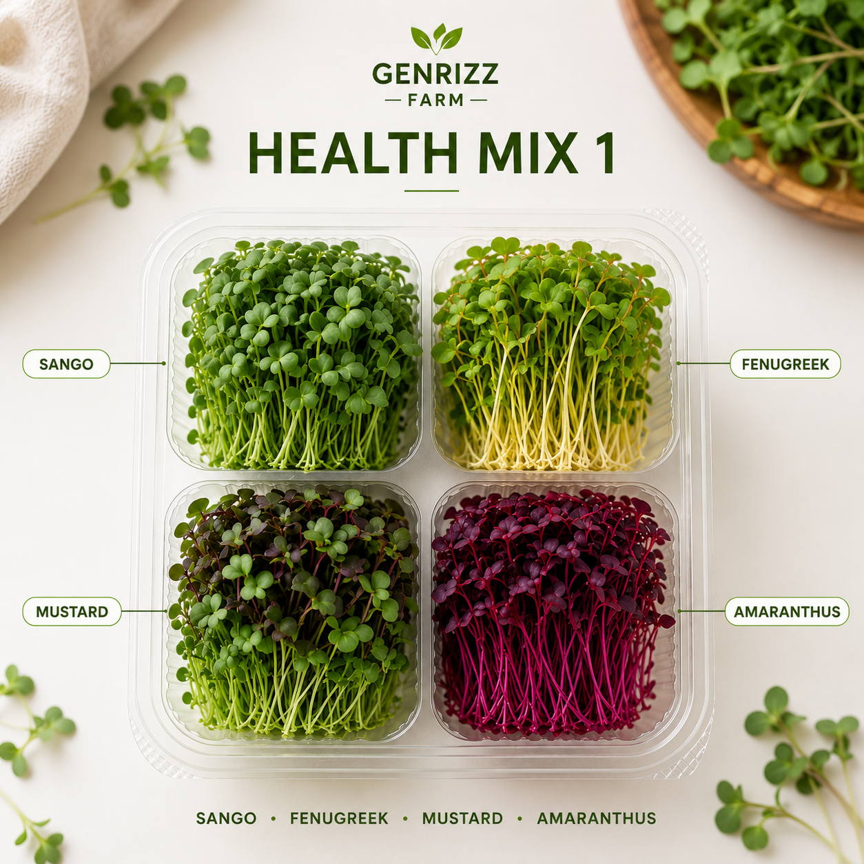 Health Mix One